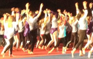 Gymnastikkfestival 2015