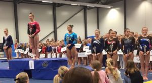 Premiepall_klasse 2