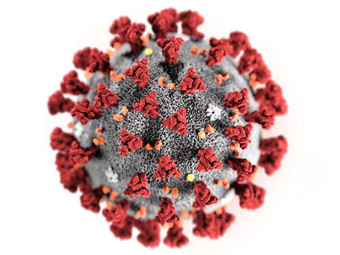 Koronavirus - hva gjør vi?