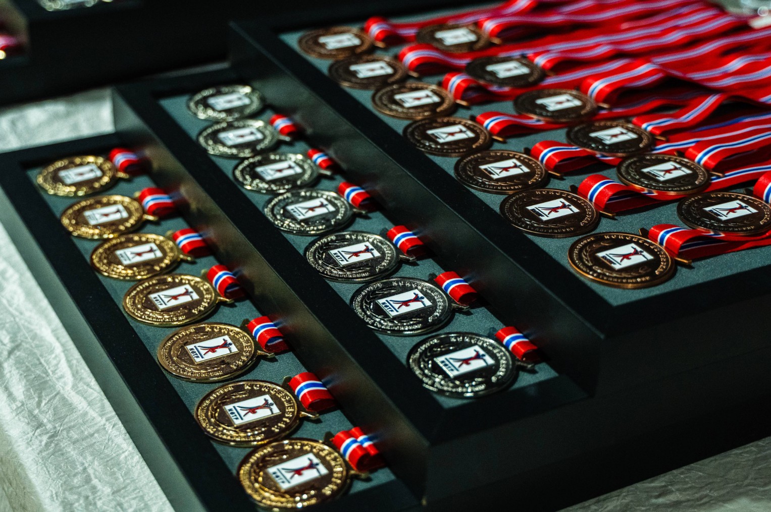 Krediter: Foto: Sondre Thorstein. Medaljer-NGTF